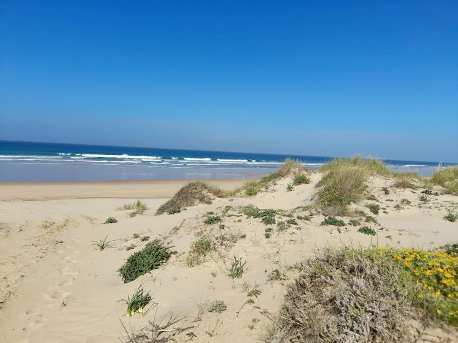 Apartamento Playa La Barrosa Chiclana de la Frontera Eksteriør billede