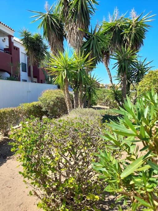 Apartamento Playa La Barrosa Chiclana de la Frontera Eksteriør billede