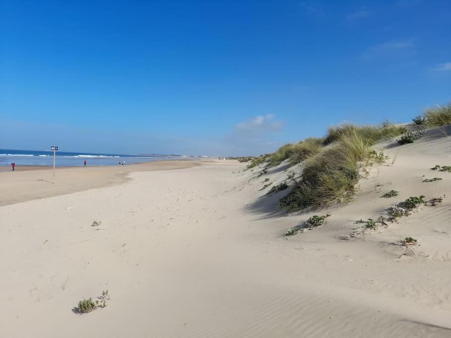Apartamento Playa La Barrosa Chiclana de la Frontera Eksteriør billede