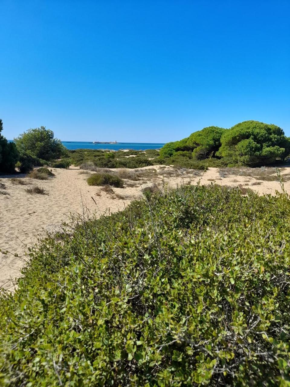 Apartamento Playa La Barrosa Chiclana de la Frontera Eksteriør billede