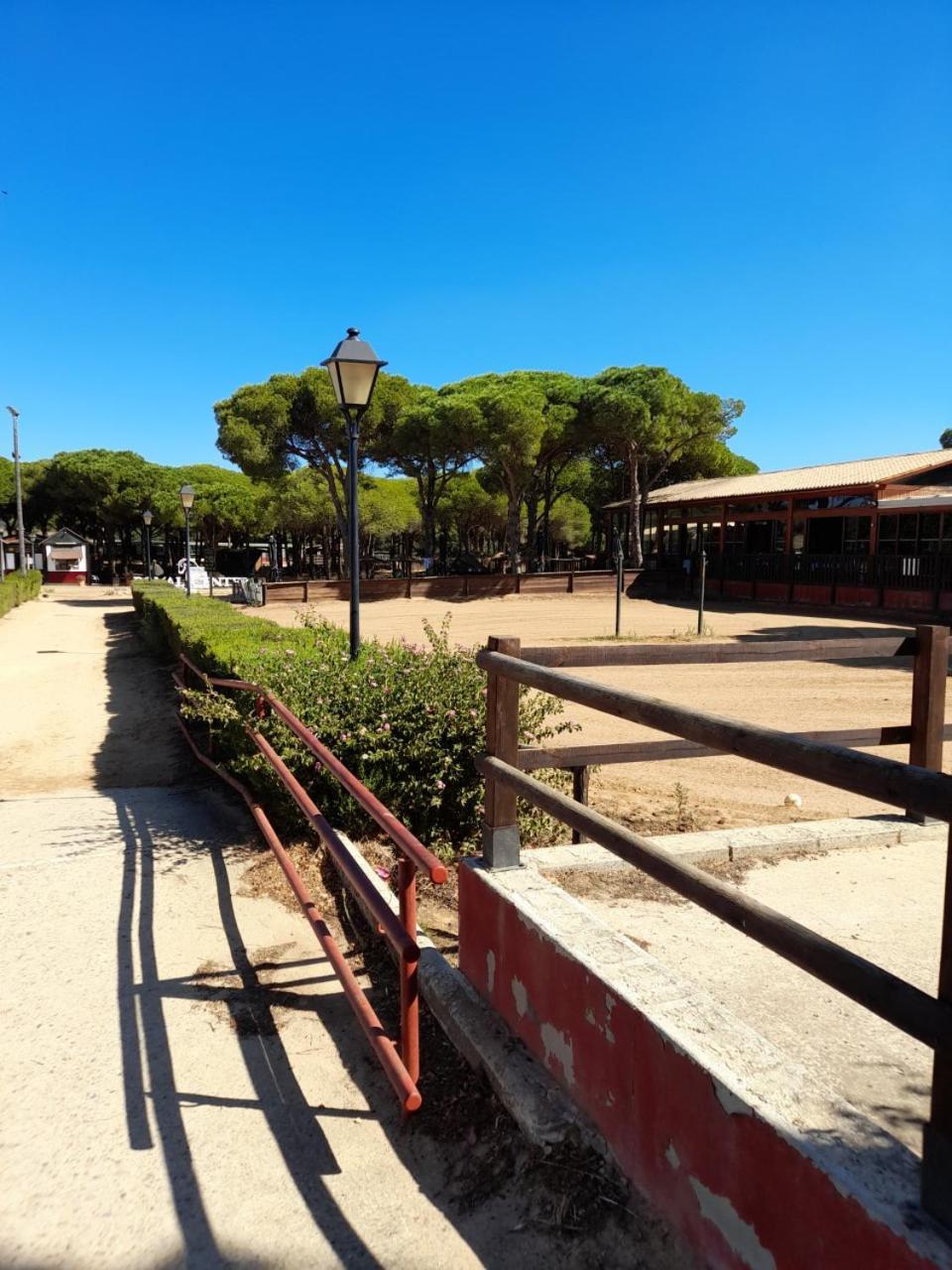 Apartamento Playa La Barrosa Chiclana de la Frontera Eksteriør billede