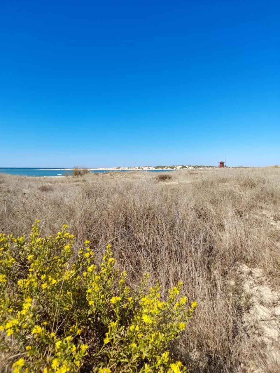 Apartamento Playa La Barrosa Chiclana de la Frontera Eksteriør billede