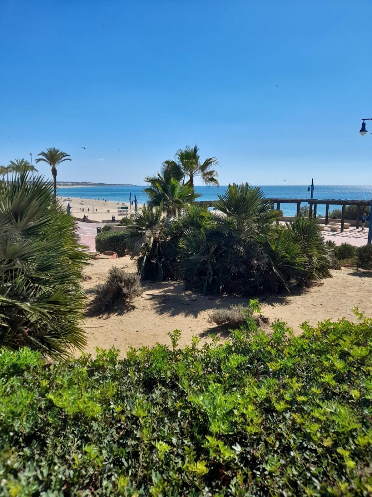 Apartamento Playa La Barrosa Chiclana de la Frontera Eksteriør billede