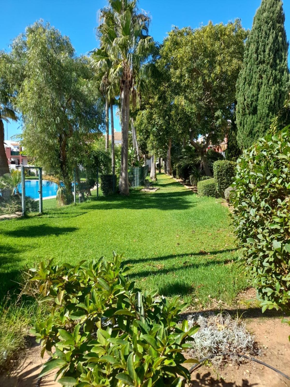 Apartamento Playa La Barrosa Chiclana de la Frontera Eksteriør billede